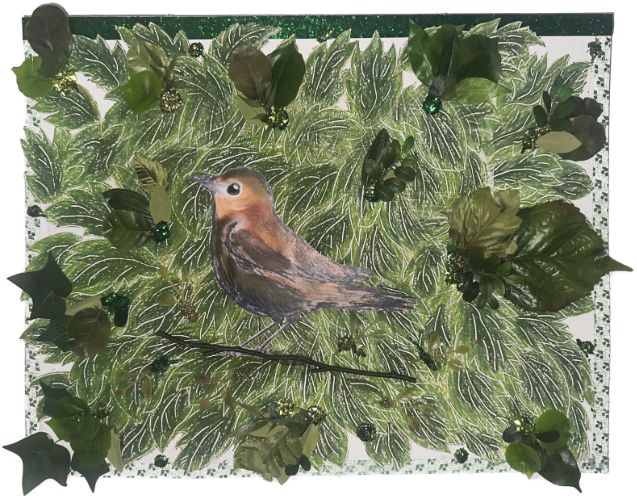Collage image by Anne Farrell
