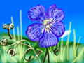 flower-blueflax.jpg