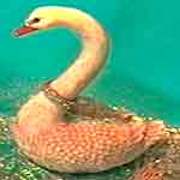 Swans-Painting thumb